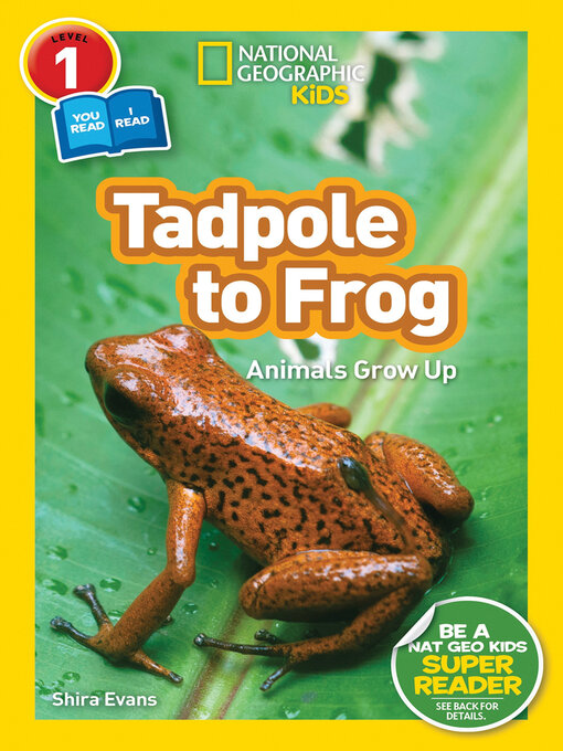 Cover image for Tadpole to Frog